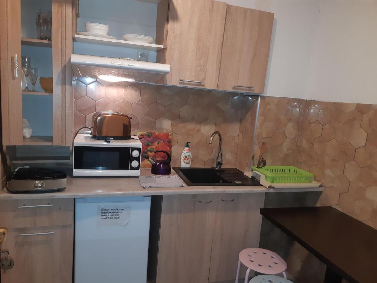זקופאנה Apartamenty I Pokoje Goscinne Nowita מראה חיצוני תמונה