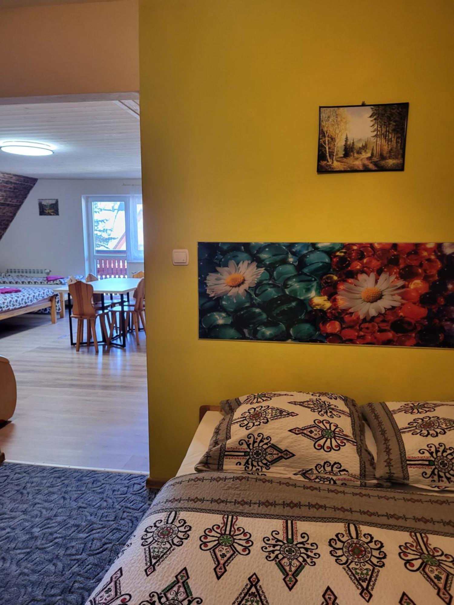 זקופאנה Apartamenty I Pokoje Goscinne Nowita מראה חיצוני תמונה
