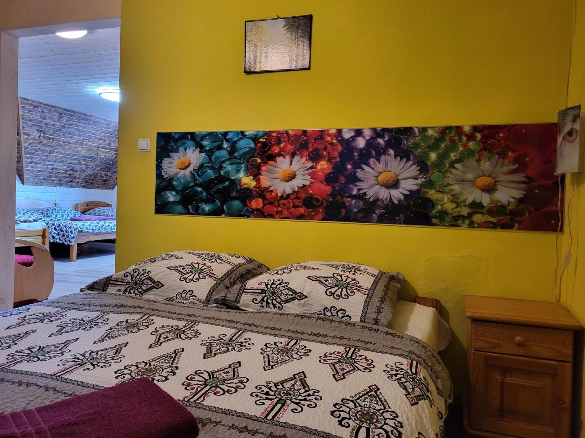 זקופאנה Apartamenty I Pokoje Goscinne Nowita מראה חיצוני תמונה